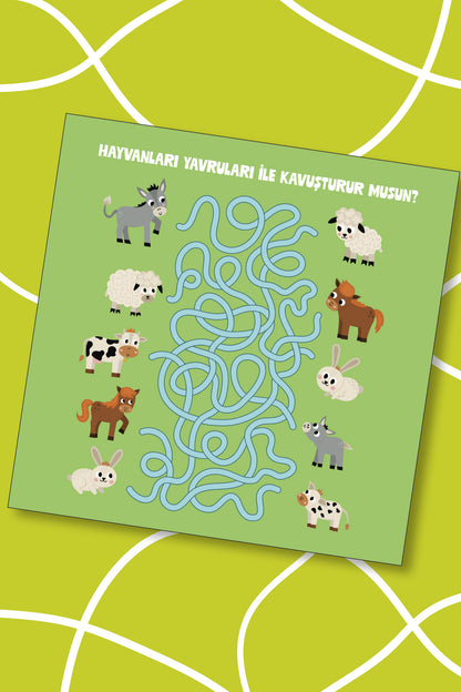 Eğlenceli Labirentler - 4+ Yaş Aktivite Kitabı - Okul Öncesi Etkinlik